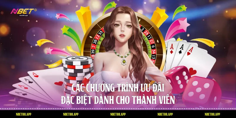 Các chương trình ưu đãi đặc biệt dành cho thành viên