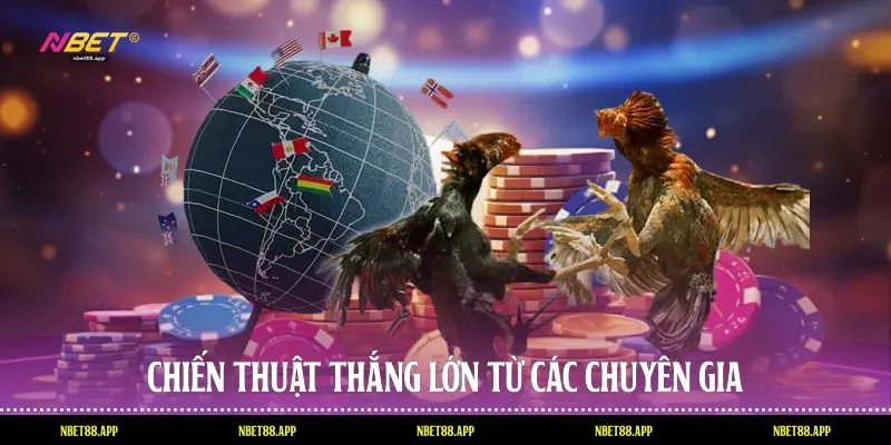 Chiến thuật thắng lớn từ các chuyên gia