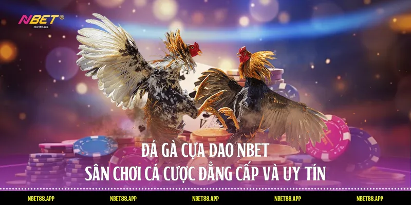 Đá Gà Cựa Dao Nbet - Sân Chơi Cá Cược Đẳng Cấp Và Uy Tín