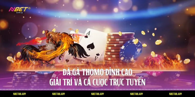 Đá Gà Thomo - Đỉnh Cao Giải Trí Và Cá Cược Trực Tuyến