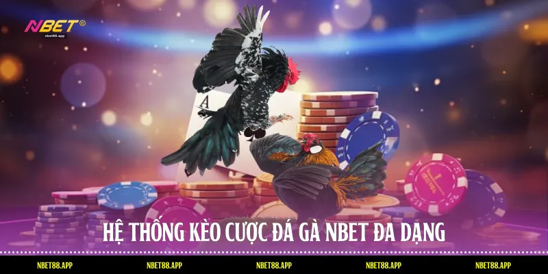 Hệ thống kèo cược đá gà Nbet đa dạng