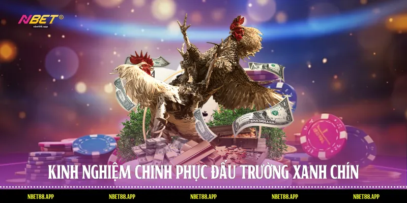 Kinh nghiệm chinh phục đấu trường xanh chín