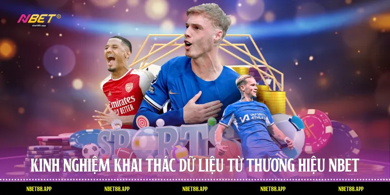 Kinh nghiệm khai thác dữ liệu từ thương hiệu Nbet