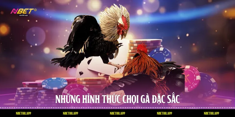 Những hình thức chọi gà đặc sắc