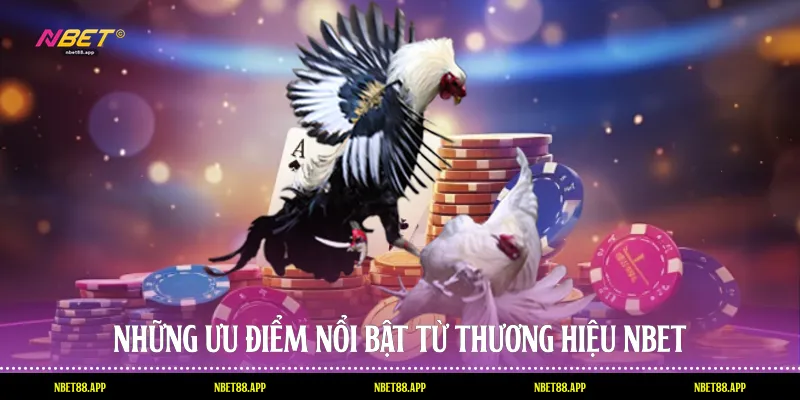 Những ưu điểm nổi bật từ thương hiệu Nbet