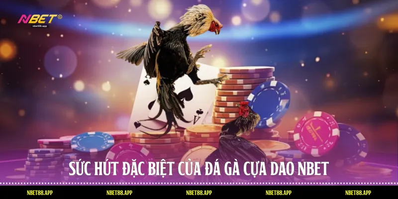 Sức hút đặc biệt của đá gà cựa dao Nbet