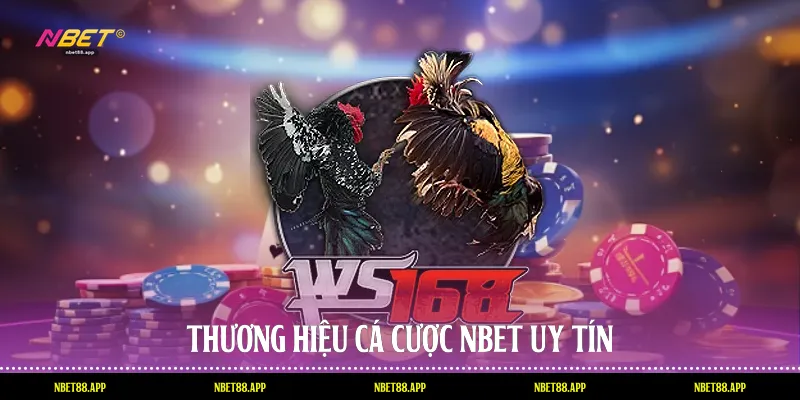 Thương hiệu cá cược Nbet uy tín