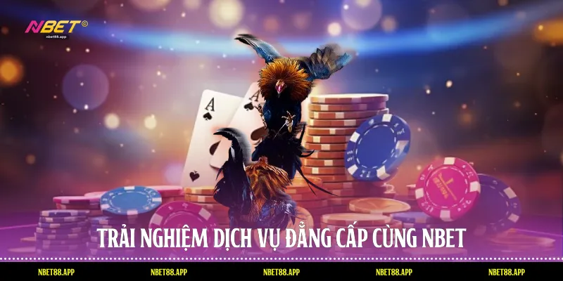 Trải nghiệm dịch vụ đẳng cấp cùng Nbet